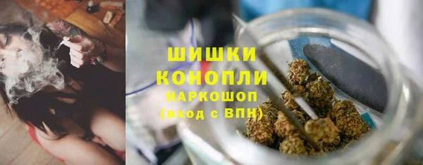 индика Волоколамск