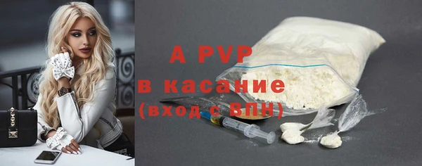 индика Волоколамск