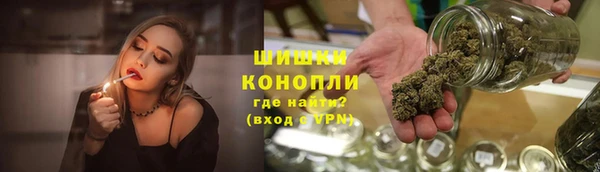 индика Волоколамск