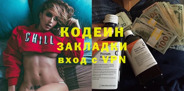 индика Волоколамск