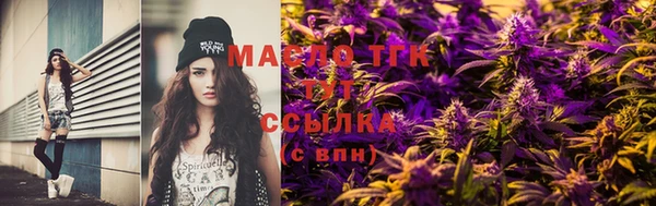 индика Волоколамск