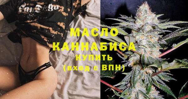 индика Волоколамск