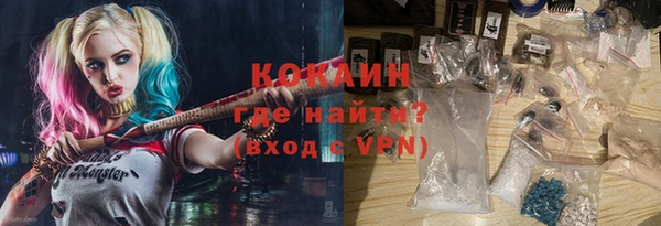 индика Волоколамск