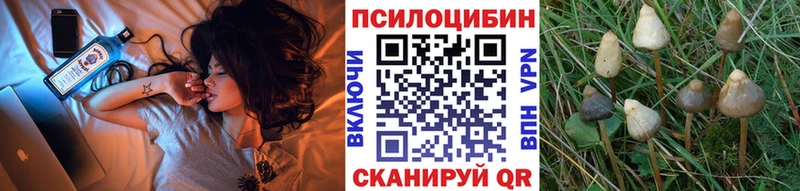 магазин  наркотиков  Лодейное Поле  Псилоцибиновые грибы ЛСД 