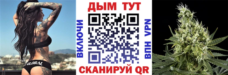 Шишки марихуана планчик  сколько стоит  Лодейное Поле 